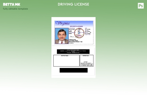 Модерен стил шаблон за верзија на USA Virgina DL